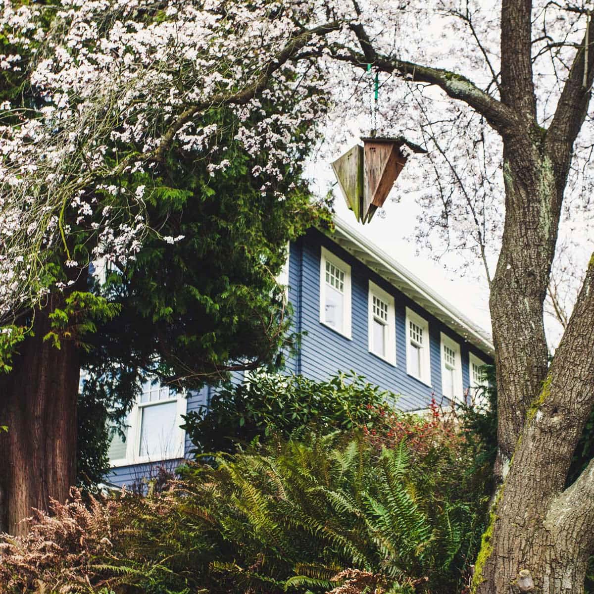 05-Estate-1-Seattle-7113